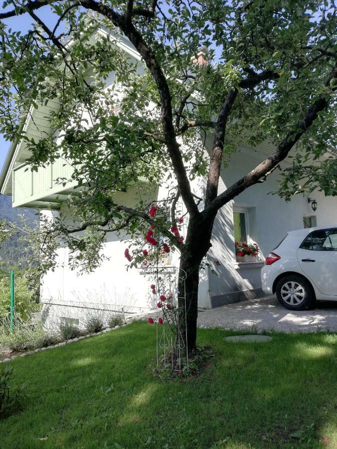 Apartma Neza Bled Exterior photo